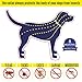 Dog Flea and Tick Control Collar – 8 Months Flea and Tick Control for Dogs – Natural, Herbal, Non-Toxic Dog Flea Treatment – Waterproof Protection and Adjustable Best Flea Collar for Dogsthumb 3