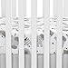 Lambs & Ivy Jungle Safari 100% Cotton White/Gray Elephant/Lion Fitted Crib Sheet