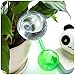 Nakenja 2 Pack Plant Watering Bulbs Large Automatic Watering Globes, Clear