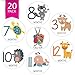 LittleLight | 20 Pack of Baby Monthly Stickers with Animals. My First Growth and Holiday Onesie Stickers for Boy, Girl, Baby.