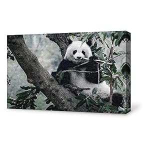 SIGNFORD Canvas Wall Art for Living Room,Bedroom Home...