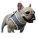 Fleece Soft Pet Harness Vest for Small/Medium Pets,Size Runs Smaller, Small fits Pets 3-6 Pound,Medium 8-12 Pound,Large 12-16 Pound (Large: Neck 14