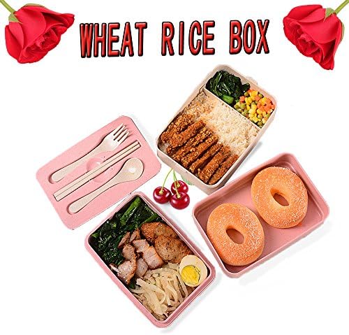 SEY6 Bento Lunch Box Spoon Fork and Chopsticks Set for Adults and Student in School Affice and Family (pink)