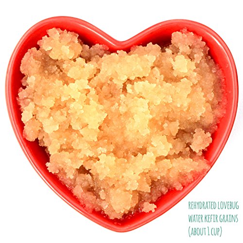 image for GIFTER'S PACK OF 6 | Water Kefir Grains by Lovebug | Live Organic Star