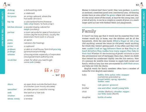 Lonely Planet Irish Language &amp; Culture (Phrasebook) | Pricepulse