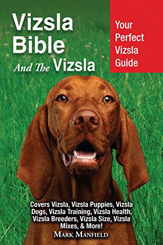 fully trained vizsla for sale