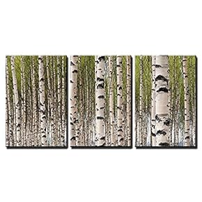 3 Piece Canvas Wall Art - Grove of Birch Trees with Green Leaves in Spring - Modern Home Art Stretched and Framed Ready to Hang - 16"x24"x3 Panels