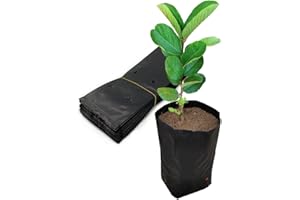 Belit 100 Pcs Plant Nursery Bags, Plastic Seedling Pots Container for Fruit Tree, Flower, Starting saplings, Plant Grow(3.5"x6.6")