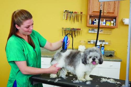 andis easy clip versa