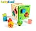 [US CPSC Certificated] Babylian Educational Sorting Cube Toys Bricks of Different Wooden Shapes and Colors for 1-3 Years Old young Childhood Intellectual Education