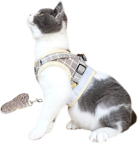 Harnais Chat Amazon