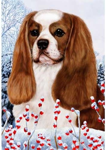 blenheim cavalier king