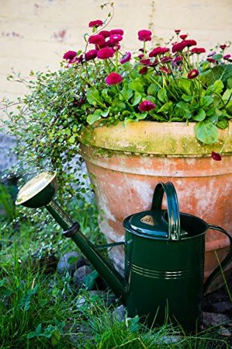 Kuheiga Giesskanne 5 L Grun Feuerverzinkt Zinkkanne Zinkgiesskanne Metall Amazon De Garten