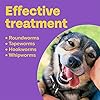 Bob-Martin-Clear-3-in-1-Wormer-Tablets-for-Small-Medium-Large-Dogs-up-to-40-kg-Clinically-Proven-Treatment-4-Tablets Bob Martin Clear | 3 in 1 Wormer Tablets for Small, Medium & Large Dogs (up to 40kg) | Clinically Proven Treatment (4…