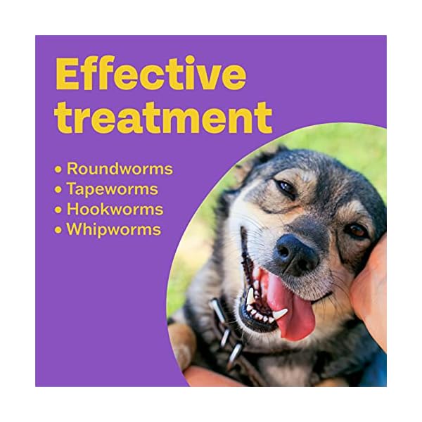 Bob-Martin-Clear-3-in-1-Wormer-Tablets-for-Small-Medium-Large-Dogs-up-to-40-kg-Clinically-Proven-Treatment-4-Tablets Bob Martin Clear | 3 in 1 Wormer Tablets for Small, Medium & Large Dogs (up to 40kg) | Clinically Proven Treatment (4…