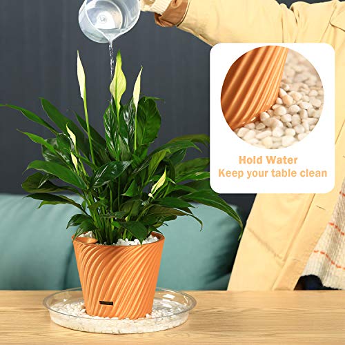 9 Pack Clear Plastic Plant Saucers (12 inch) Drip Trays Plant Plate