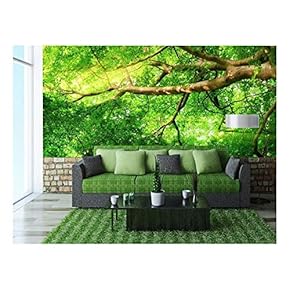 Sunrays Shining Through Green Leaves of high treetops...