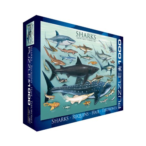 EuroGraphics Sharks 1000 Piece Puzzle