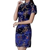 Cheongsam Dress for Women Qipao Slim Fit Short Sleeve Bodycon Mandarin Collar Side Slit Chinese Floral Print Dragon Dress