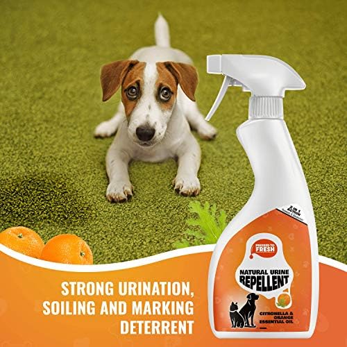 natural urine deterrent dogs