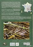 Image de Atlas des amphibiens et reptiles de France