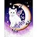 DIY 5D Diamond Painting Kits for Adults Full Drill Embroidery Paintings Rhinestone Pasted DIY Painting Cross Stitch Arts Crafts for Home Wall Decor 30x40cm/11.8×15.7Inches (Moon Cat)