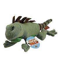 Iguana Pounce Pal Plush Stuffed Animal