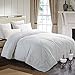 INGALIK All-Season Bed Comforter Best Soft Down Alternative Quilted Comforter - Winter Warm - Machine Washable (White, King 90 x 102 inches)