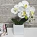 LIVILAN Artificial Flower Arrangement Lifelike Silk Orchid Artificial Flower with Decorative Ceramic White Square Vase Vivid Potted Orchid Plant,White