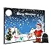 100 inch Outdoor Movie Projector Screen with Bag, GBTIGER 100