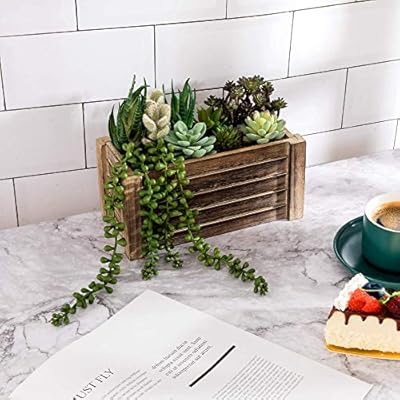 Artificial Succulents in Pots - Fake Succulent Plants, Artificial Plants for Home Decor Indoor, Faux Succulents for… 51bo7exrO1L