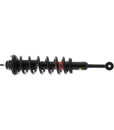Amazon.com: Monroe Quick-Strut 171352L Suspension Strut and Coil