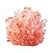 Crystal Growing Kit  Grow Stunning Red Crystals (Includes Real Aragonite)!