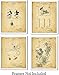 Mickey Mouse Cartoon Patent Wall Art Prints - set of Four (8x10) Unframed - wall art decor for music lovers