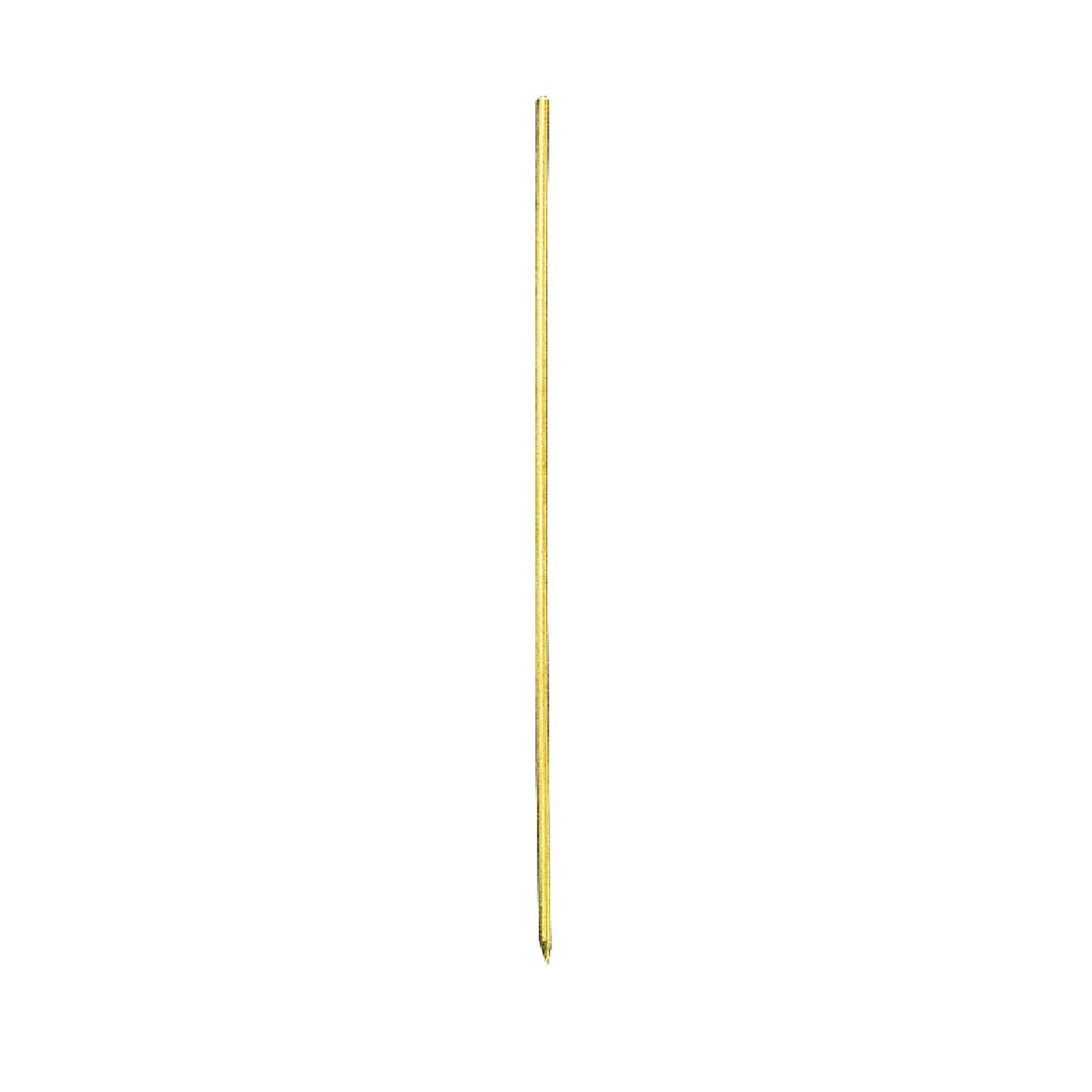 Worm Needle Pack of 2