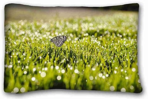 Custom Cotton &amp; Polyester Soft ( Animal Butterfly ) Pillow Cushion Case Cover One Sides Printed 20x30 Inches suitable for X-Long Twin-bed PC-Bluish-34000