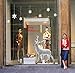 Leewos Merry Christmas Wall Decals Snowflakes White Reindeer Wall Stickers, Easy to Apply and Remove
