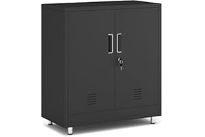 JINGUR Metal Storage Cabinet with Locking Doors and Adjustable Shelf, Small Lockable Storage Cabinets for Home Office and Gar