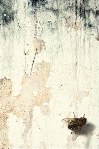 Amazoncom A Fly On The Wall Notebook 150 Page Journal