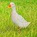 Gotian Small Resin Duck Statue Garden Yard Sculpture Outdoor Indoor Art Crafts Decor, for Garden, Pond, Garden Decoration, Pets and Children's Toys (White)