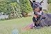 BK PRODUCTS LLC 8 Extra Large Dog Rope Toys for Large Breed Puppy and Medium to Large Dogs - Set of Nearly Indestructible Dog Toys for Tug of War, Fetch Play or Teething