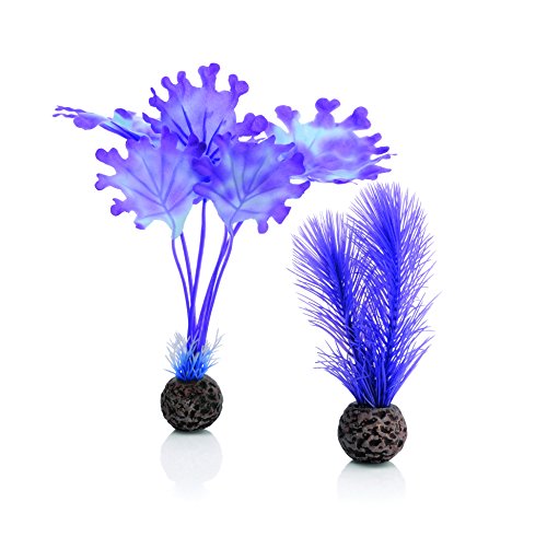 BiOrb 46079.0 Kelp Set Small Purple Aquariums