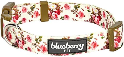 blueberry pet collars amazon