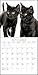 2019 Black Cats on White Calendar
