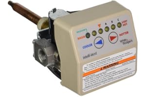 OEM RPLM FOR RHEEM 37E73A316 - Rheem OEM Upgraded Replacement Water Heater Natural Gas Valve