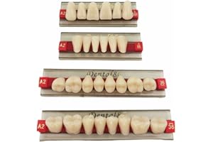 SMILEDT Dental Acrylic Resin Teeth Denture for Halloween Horror Prop