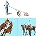 3 Dog Leash No Tangle Heavy Duty Detachable 360° Swivel Device Multiple Dog Leash with Padded Handle for Two/Three Pets (30-200 Lbs)