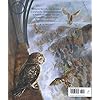 Harry-Potter-and-the-Philosophers-Stone-Illustrated-Edition-Harry-Potter-Illustrated-EdtnHardcover--6-Oct-2015 Harry Potter and the Philosopher’s Stone: Illustrated Edition (Harry Potter, 1)