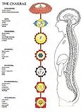 Image de Chakras