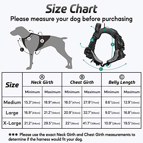 rabbitgoo Dog Harness, No Pull Dog Vest for Large Dogs with Bungee Shoulder Straps, Reflective Dog Walking Harness with… - Image 3